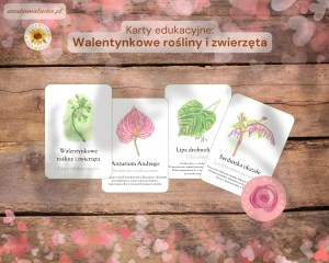 Karty edukacyjne: Walentynkowe rośliny i zwierzęta