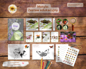 Zestaw edukacyjny: Motyle