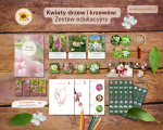 Zestaw edukacyjny: Kwiaty drzew i krzewów