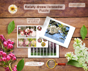 Puzzle: Kwiaty drzew i krzewów