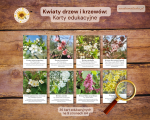 Karty spacerowe: Kwiaty drzew i krzewów