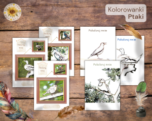 Kolorowanki: Ptaki