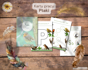 Karty pracy: Ptaki 