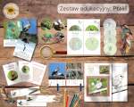 Zestaw edukacyjny: Ptaki 