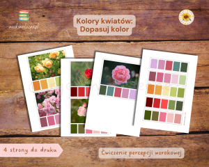 Kolory róż: Dopasuj kolor