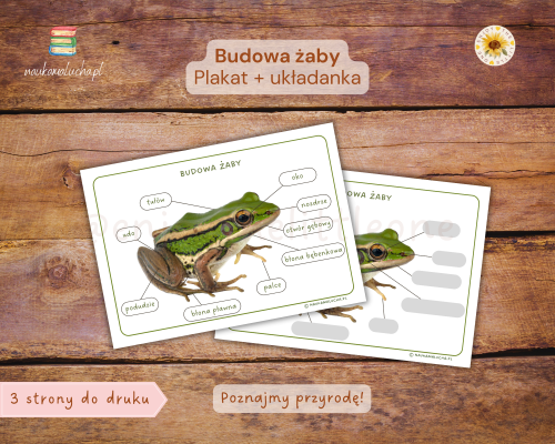 żaba
