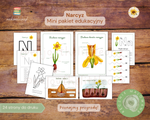 Narcyz: Mini pakiet edukacyjny