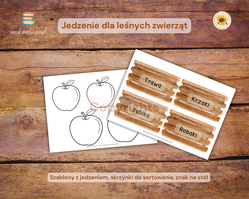 jedzenie (3).png