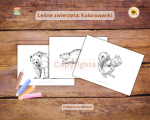 Leśne zwierzęta: Kolorowanki