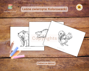 Leśne zwierzęta: Kolorowanki