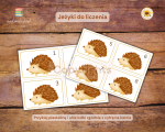 Jeżyki do liczenia