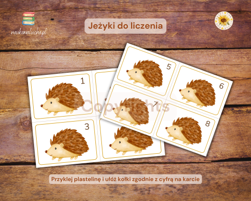 jeżyki.png